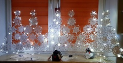 IMG-20241217-WA0006