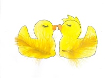 330992912_561304922698412_6526118553258529671_n