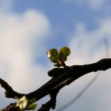 DSC09346-1