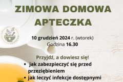 Zimowa domowa apteczka - 1